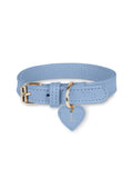 Dog Collar Leather Blue