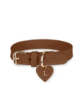 Collier en cuir brun pour chien