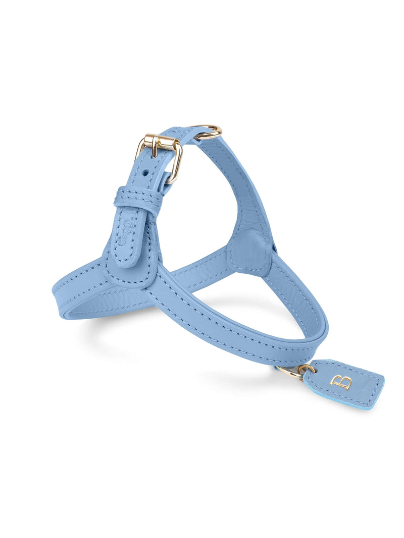 Hundegeschirr Leder Blau