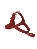 Hundegeschirr Leder Rot