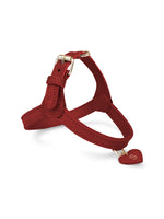 Hundegeschirr Leder Rot