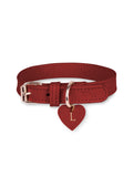 Hundehalsband Leder Rot