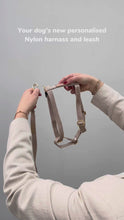Dog Harness Beige