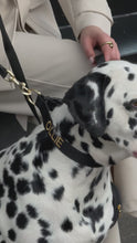 Hundehalsband Schwarz